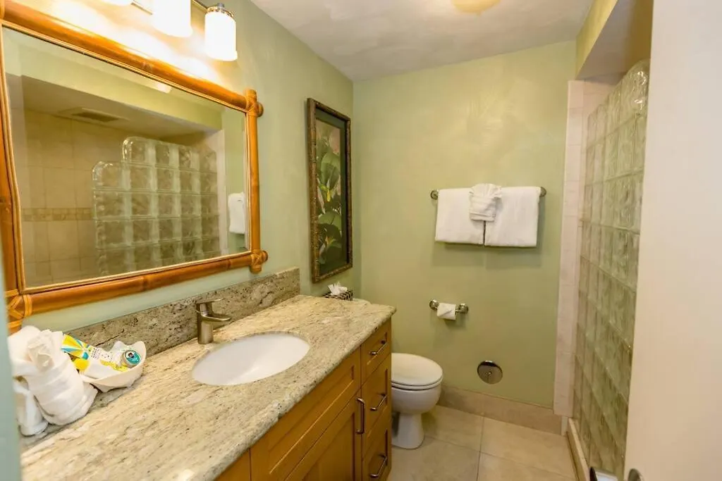 Apartment Kaleialoha 413- Remodeled Top Floor And Direct Oceanfront Views Kahana United States